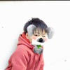 MIRAI