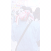 ♡みひろ♡