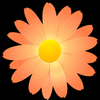 🌼花🌼🤙