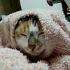 ゆうこ