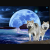 がぶ犬