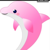 🐬