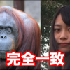 新大地 正孝