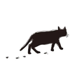 🪄︎︎🐈‍⬛