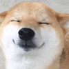 ︎︎☺︎1