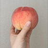 もえ❦