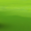 鰆