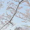 かりな
