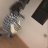 🐨