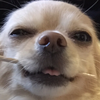 あや