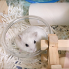 ユーザーアイコン