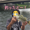南