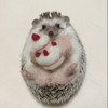(o^^o)v