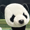ぱんだ