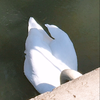 もえ