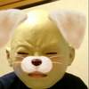 🐻とーい🐰