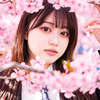 さくら🌸🤍