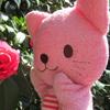 硝子🐈🍓6/9まで声優ガチイベ中！ 