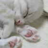 あーた