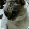 すずな(^w^)