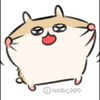 🐹💫🌙