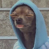ねむ🐒🐾