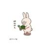 🐢カメ🐢