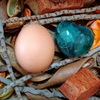 よしふみ🥚👶👶👶🥚🦋⛄🌸🥚👶👶👶🥚