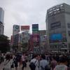 サグラス