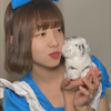 聖徳たこ🐶🐷
