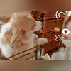 ໒꒱·たろう君