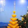 相楽信之助（しん）