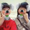 変態B型Familys🐨🐯
