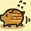 みーこ
