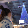 ゆず