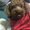 ゆな