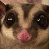 れー