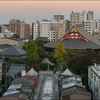 シン💩