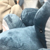 ru0927na
