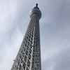 誰かさん