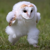 あーちゃん