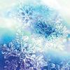 ❄吹雪❄