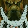 🐶💀本家💀🐶