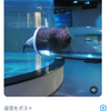 丸ちゃん