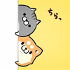 フジまめ 🌛n🌈