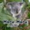 maru_maru🐰