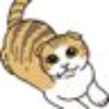 タカ@猫