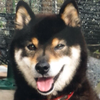 SNSの人(ゴンザエモン）