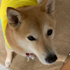 ❤︎あやこ❤︎💛