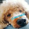 🐶sumireremin🍭